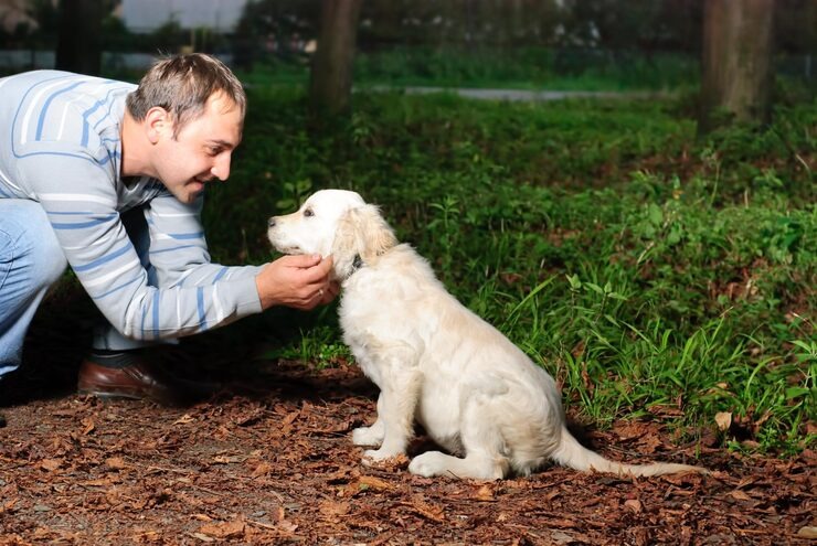 Build Lifelong Confidence with Professional Puppy Training